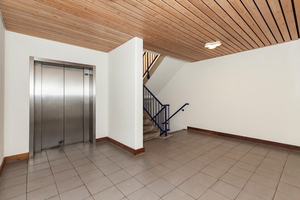 Zadkinerade 17_06.jpg